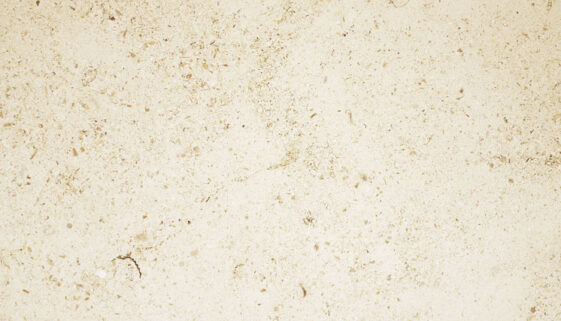 03.-moca-cream-cross-cut1
